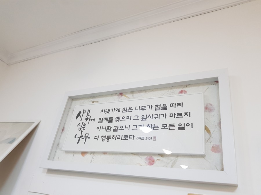 (주)시냇가에심은나무 이미지