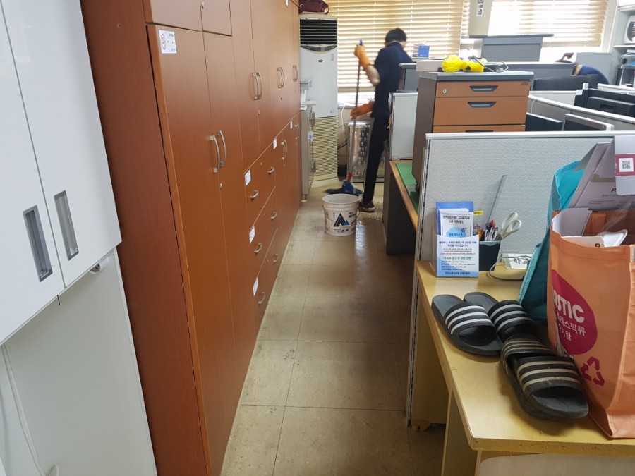 금메달청소나라 이미지