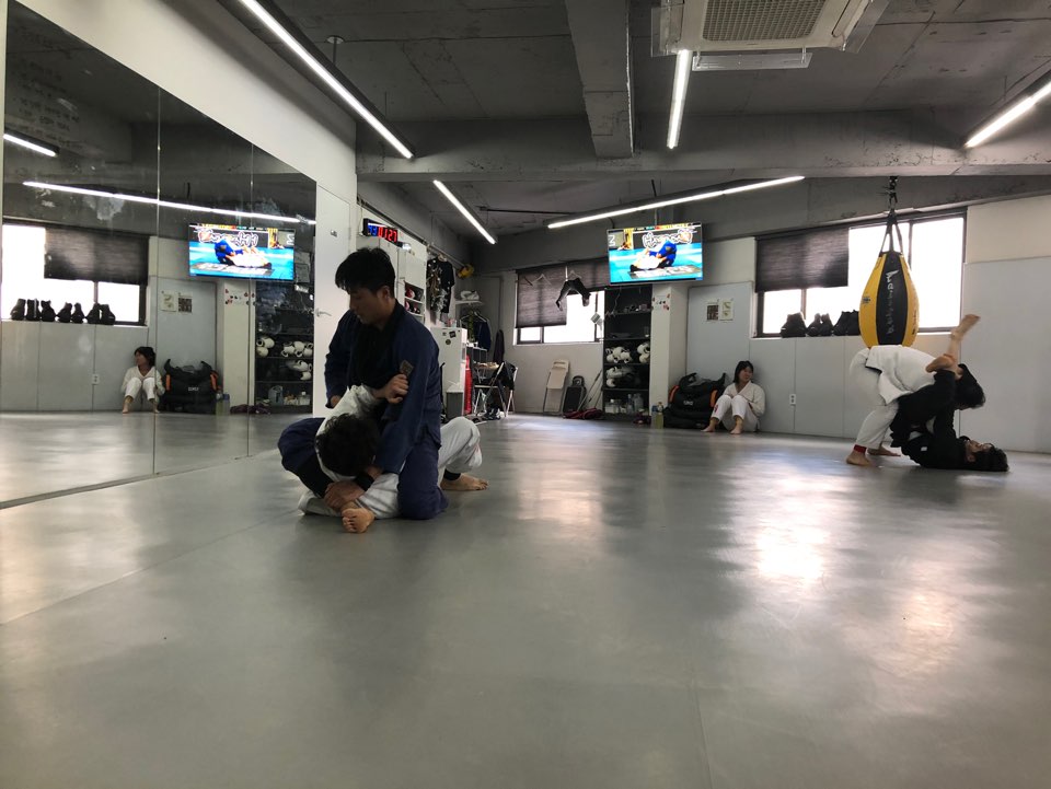 라이프짐MMA 이미지