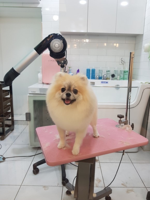 문정미용타운 이미지