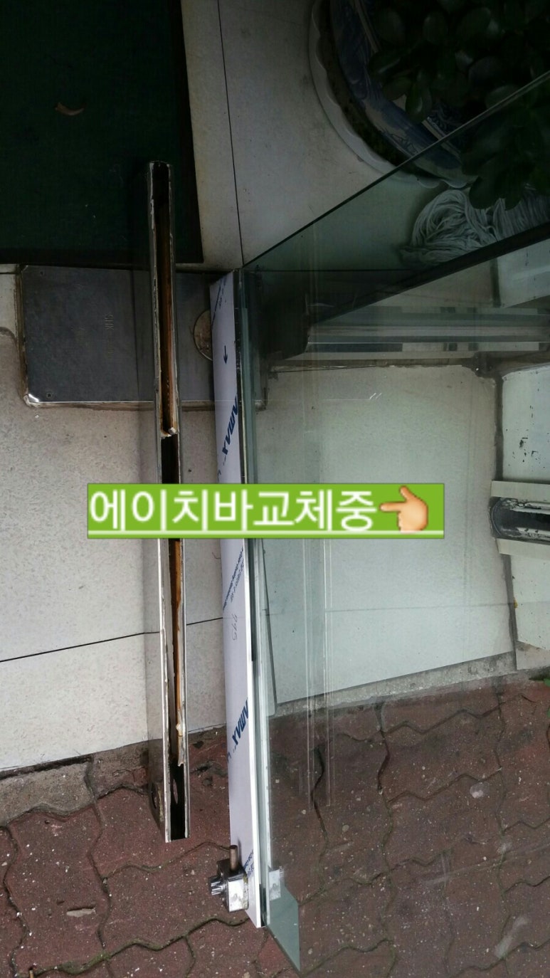 배기선의상실 이미지