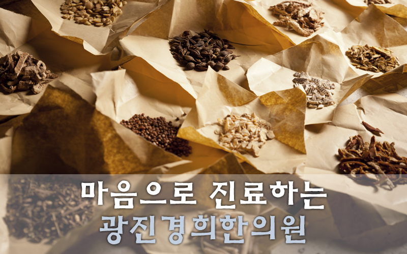 광진기전 이미지