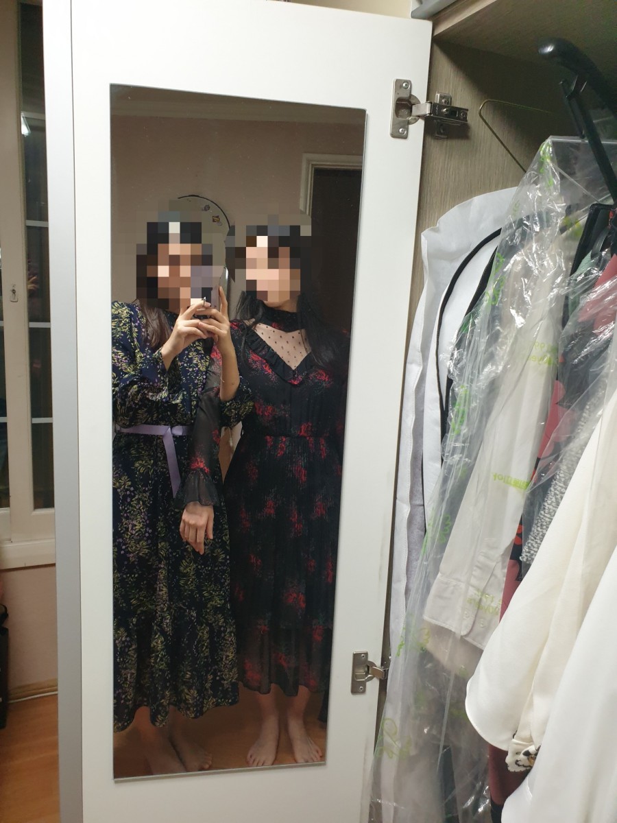 메르가넷 이미지