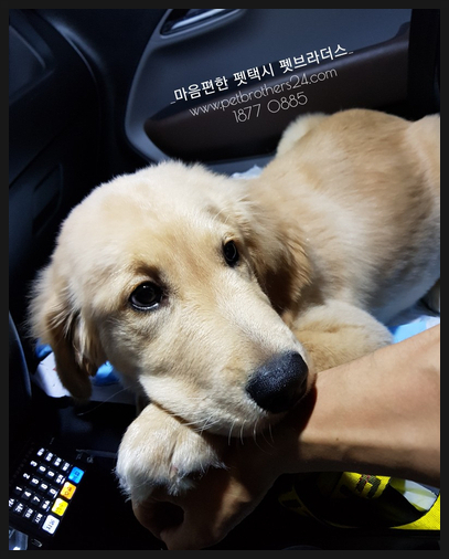 광천복권방 이미지