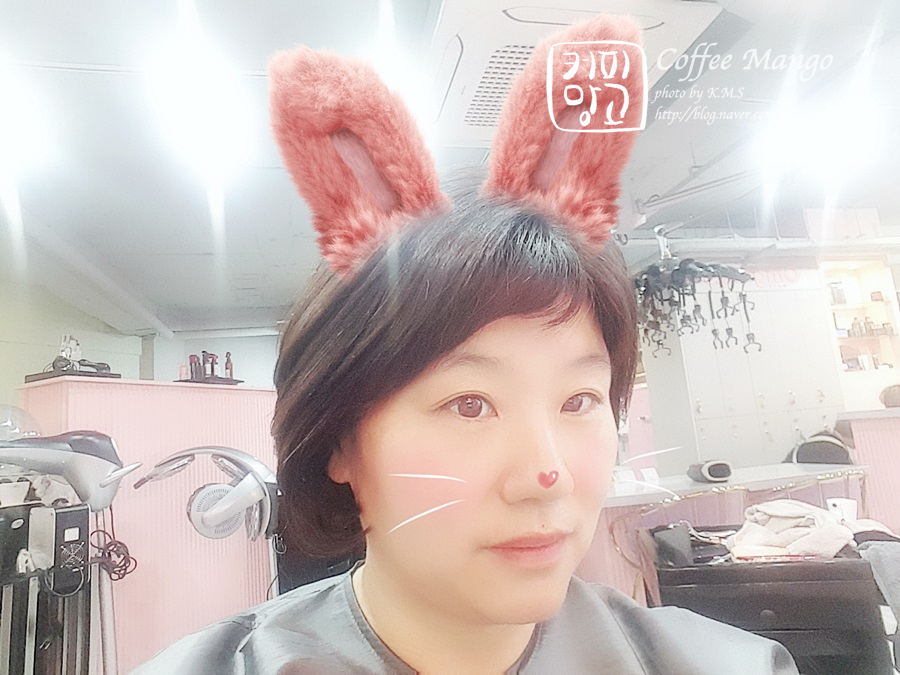 진희디자인 이미지
