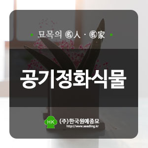 한국원예종묘 이미지