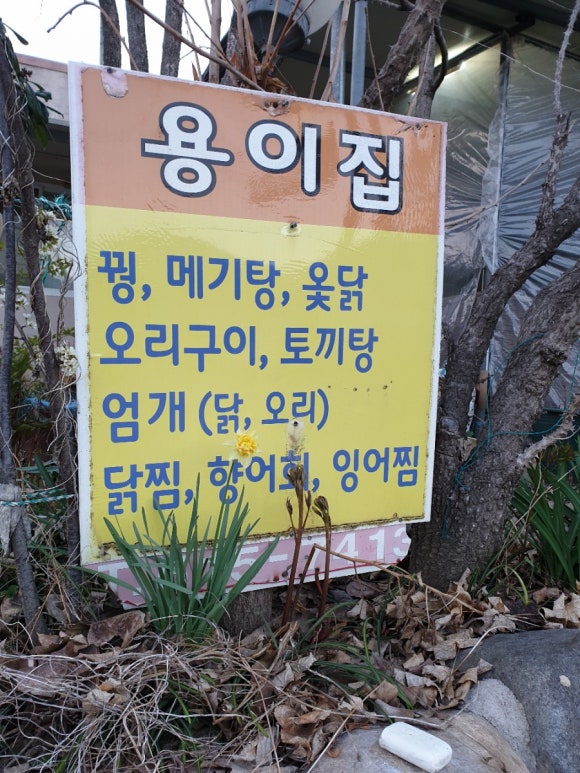 꿩집 이미지