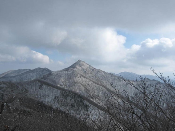 천년가요 이미지