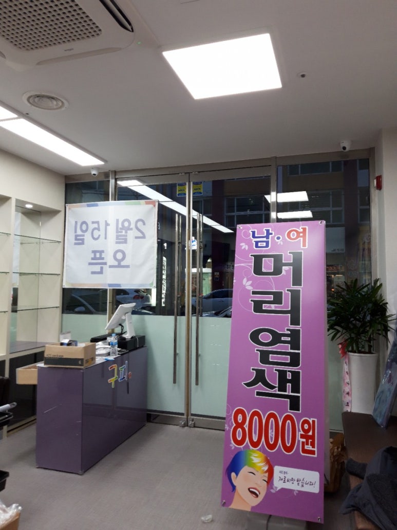 구피염색방 이미지