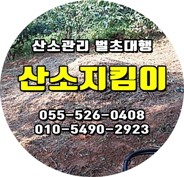 전국묘지이장공사 이미지