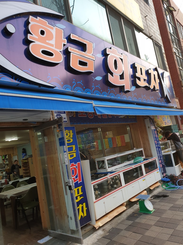 황금회포차 이미지