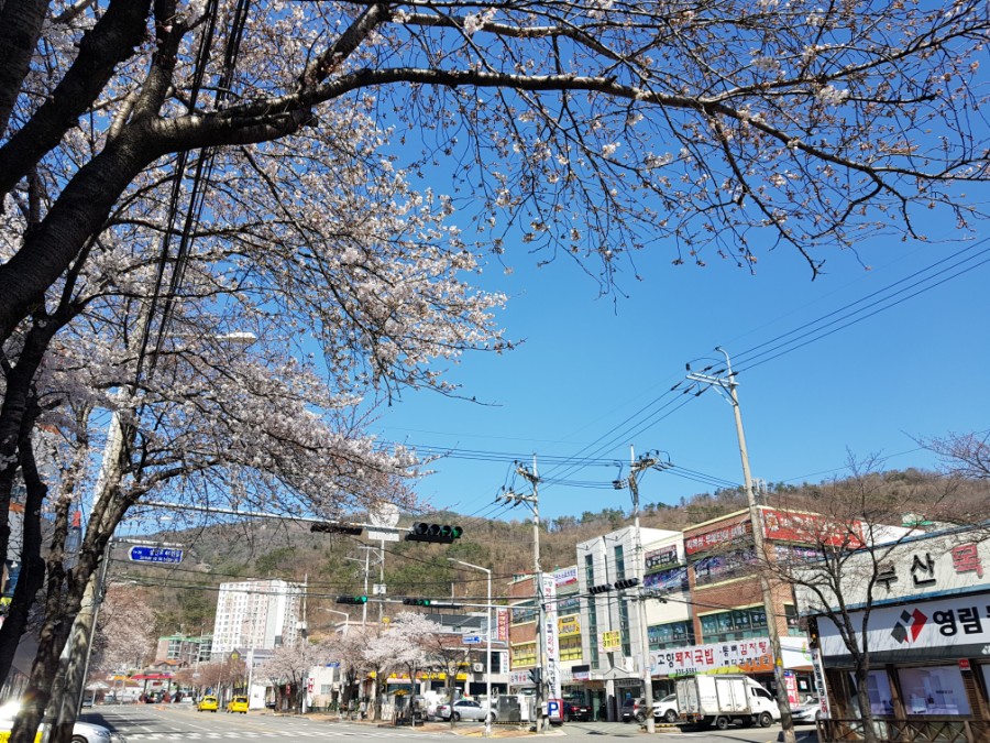 영진고물상 이미지
