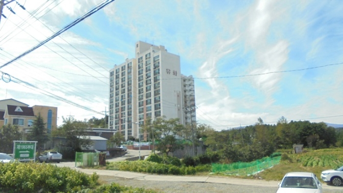 유화