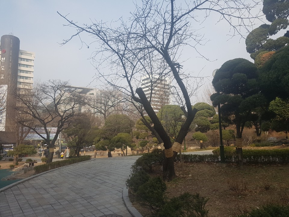 오원택행정사사무소 이미지