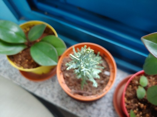 볕이좋은창 이미지