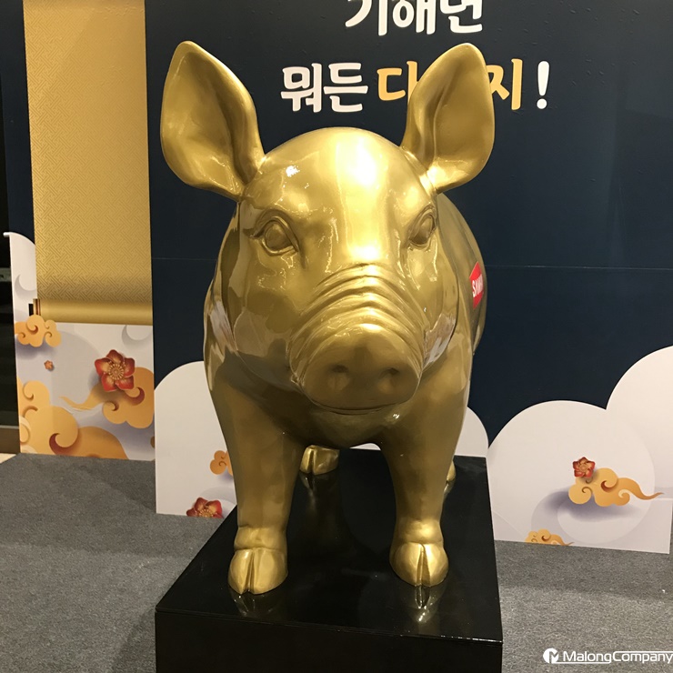 황금돼지컴퍼니 이미지