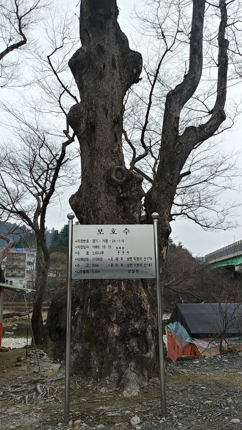 유원지가든 이미지