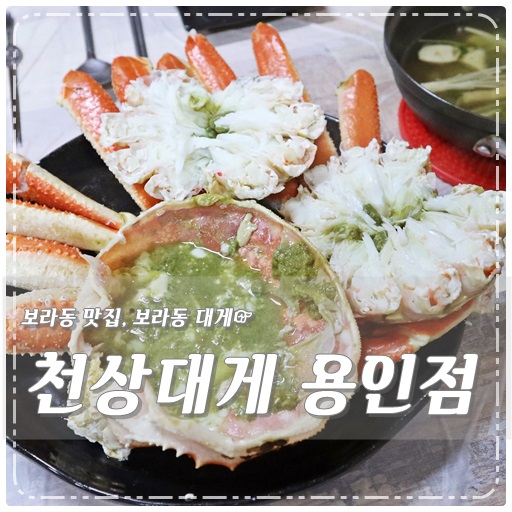 천상대게용인 이미지
