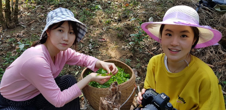 량즈 이미지