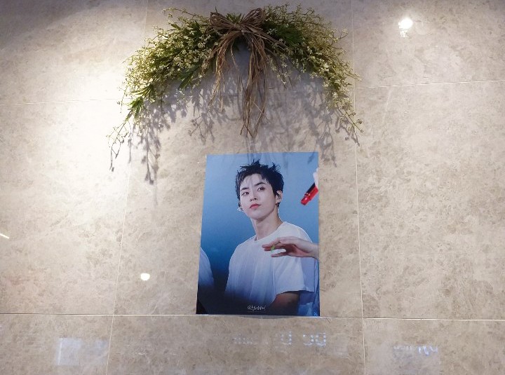 린비또 이미지