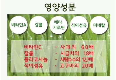 새싹피티 이미지