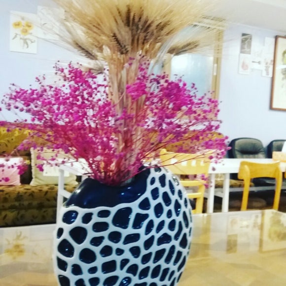 해바라기펜션 이미지