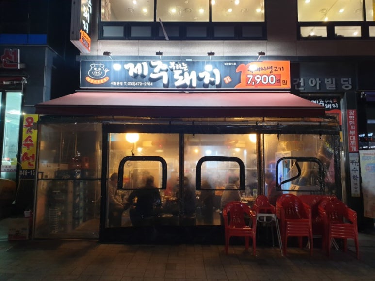 제주부리는돼지 이미지