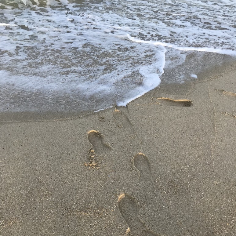 바다에앉아서 이미지