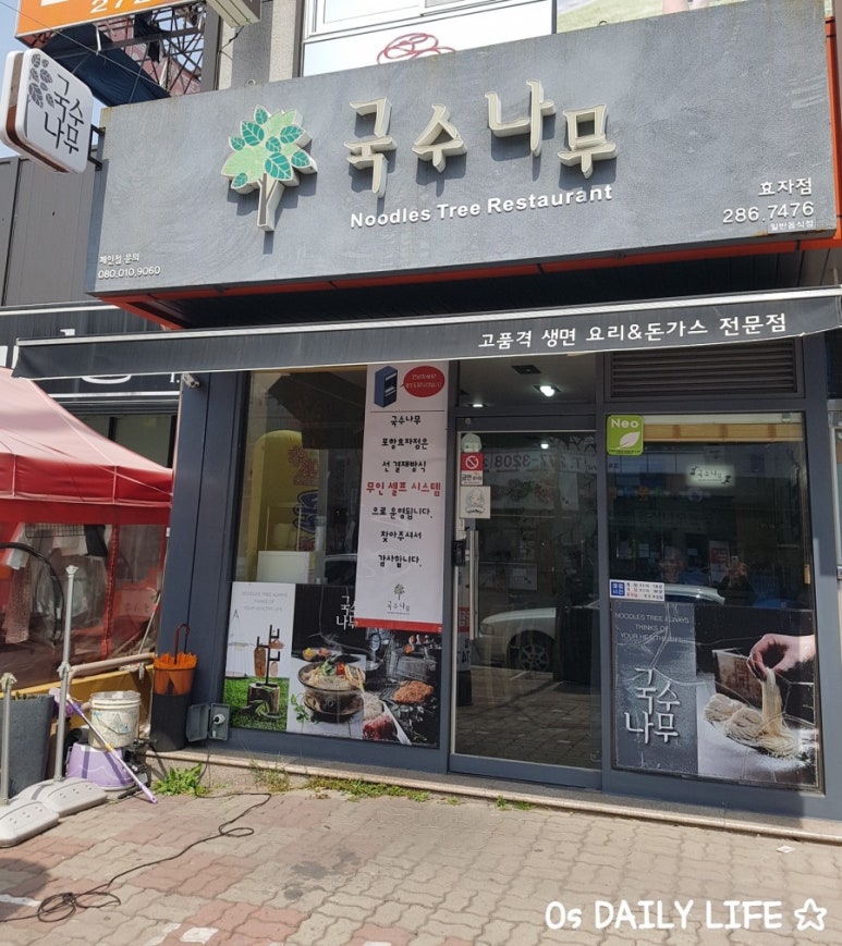 국수나무효자 이미지