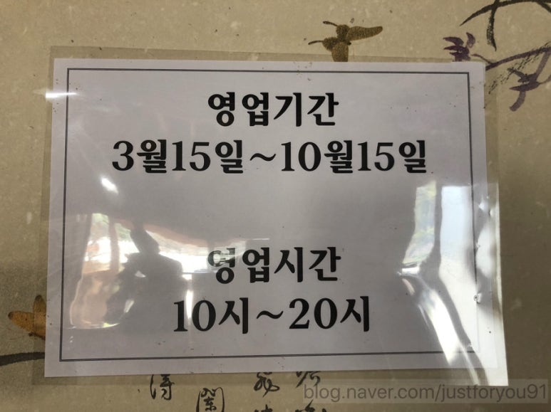 천년밀면 이미지