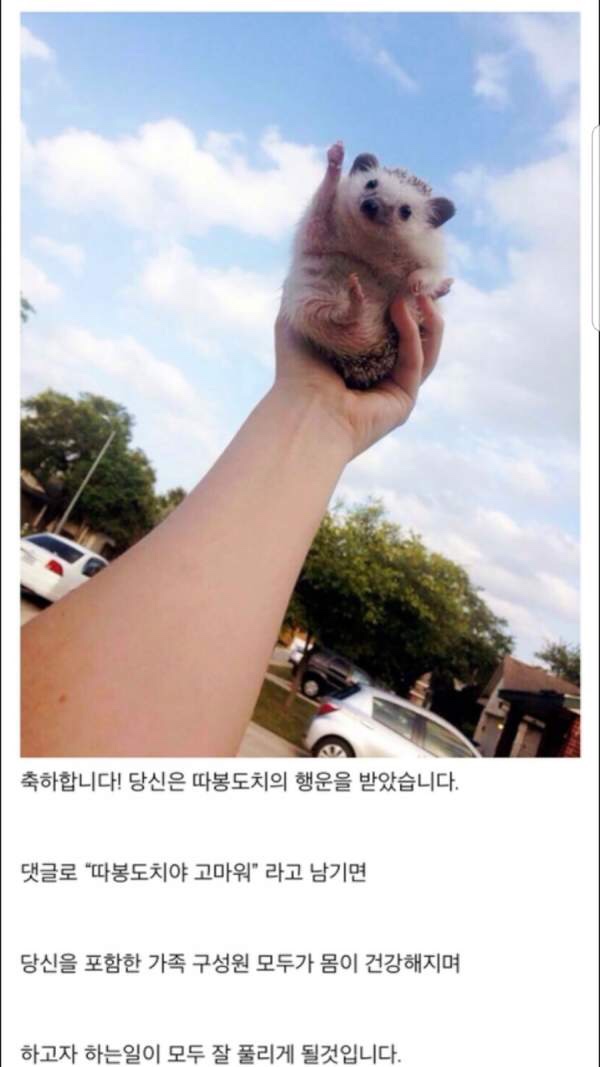 따봉 이미지