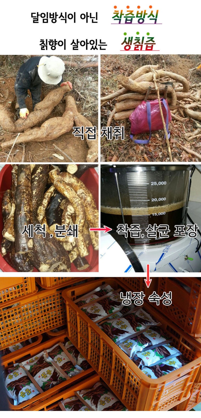 산드리약초 이미지