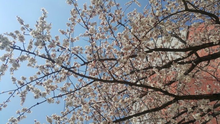 신안항공개발주 이미지