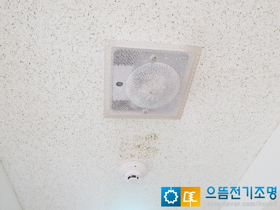 세종전기조명 이미지
