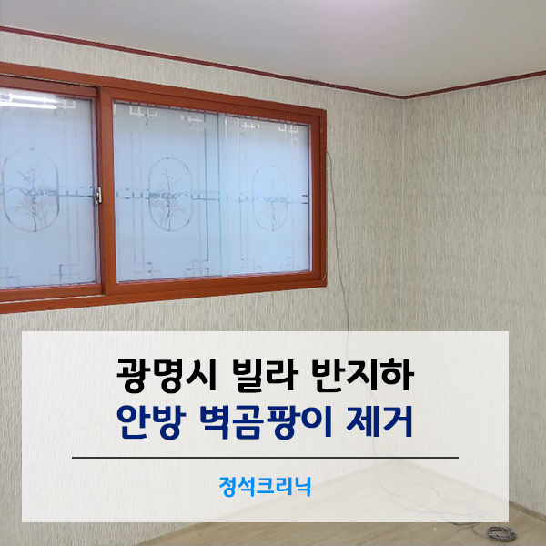 정석크리닉 이미지