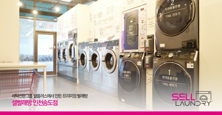 셀빨래방인천 이미지