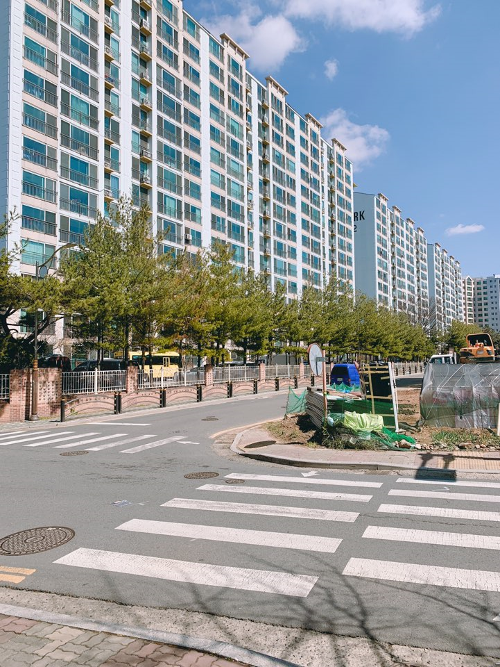 세라가드 이미지