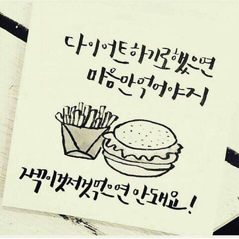 디에스디 이미지