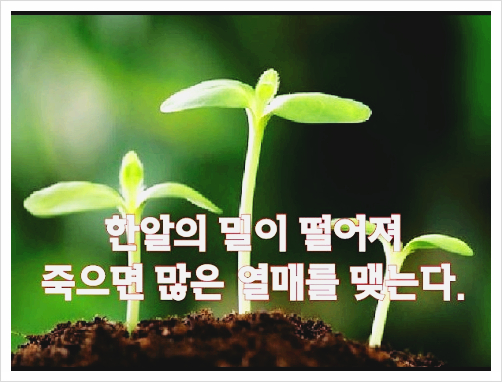형석 이미지