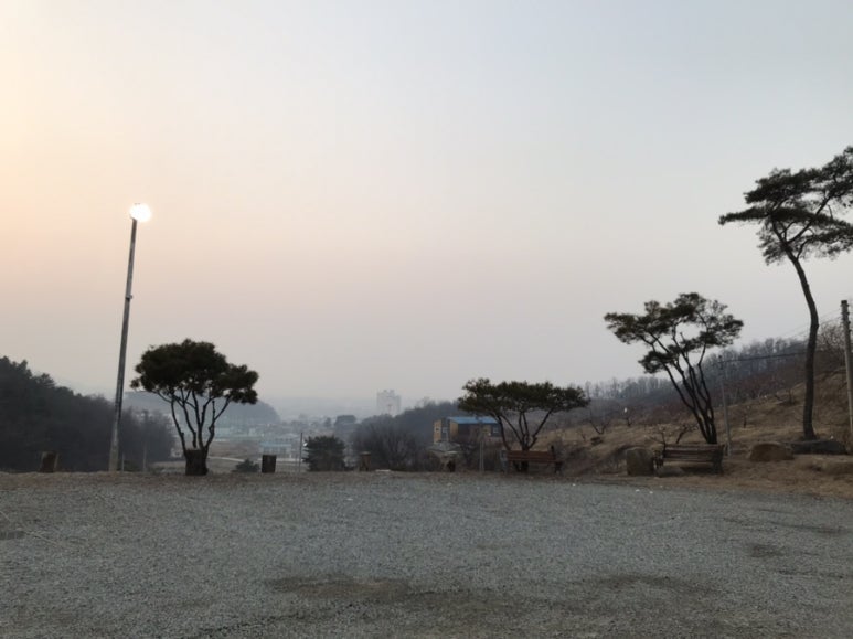 컨츄리블랙펍 이미지