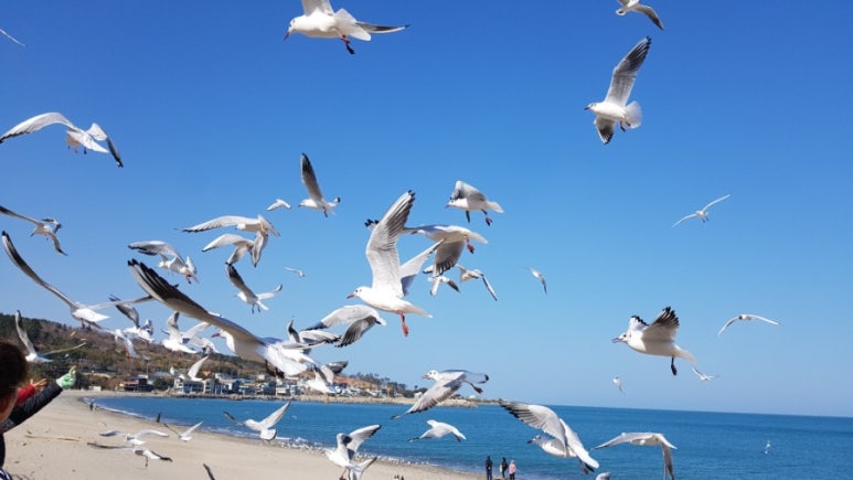 삼오산업주 이미지