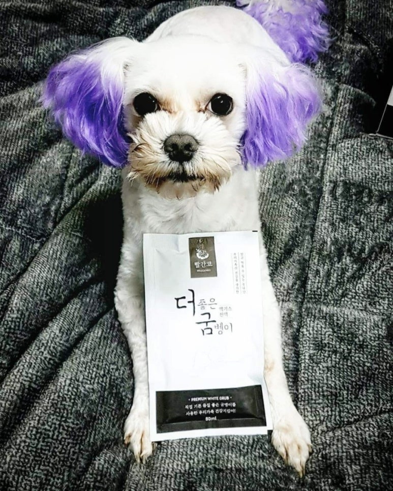 빨간코 이미지