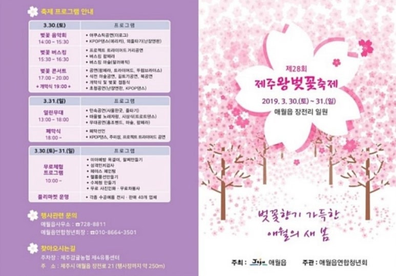메디칼사운드 이미지
