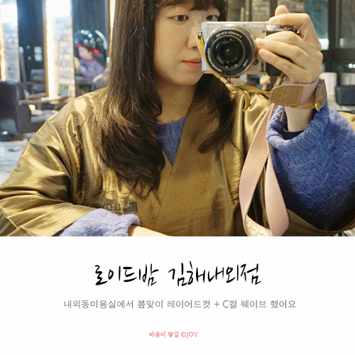 로이드밤 김해내외점 이미지