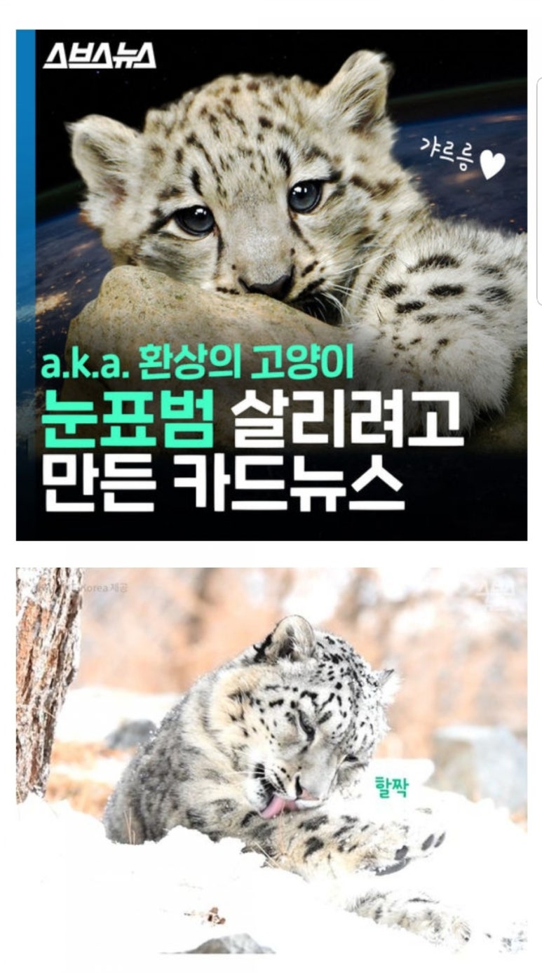(주)아이어스 이미지