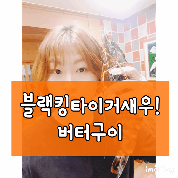 (주)고고킹 이미지