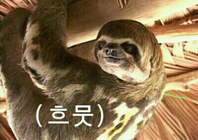로드사이드 이미지
