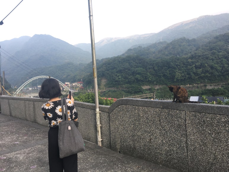 예스투어 이미지