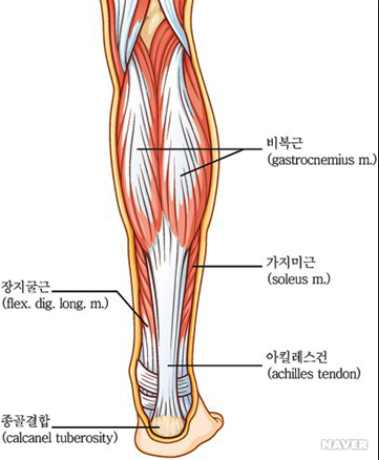 새부산스포츠 이미지