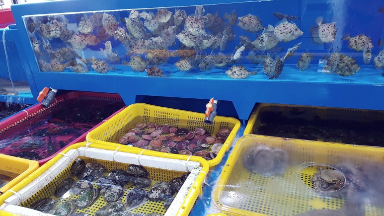 삼천포횟집 이미지